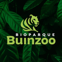 Logo de Buin Zoo, organización donde Esteban Zárate ha colaborado.